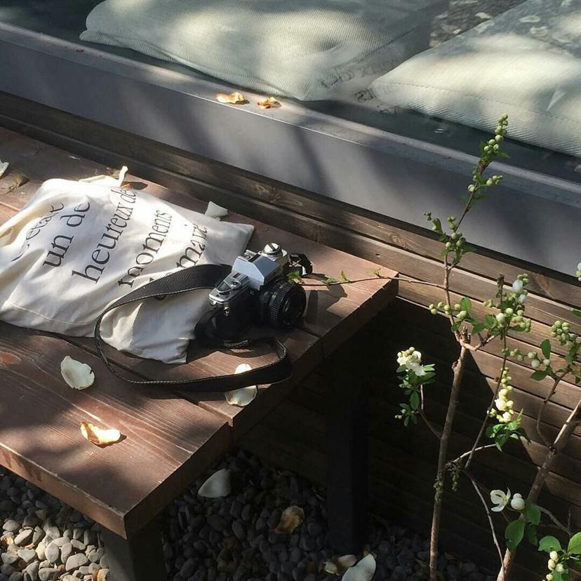 Mein letztes Jahr