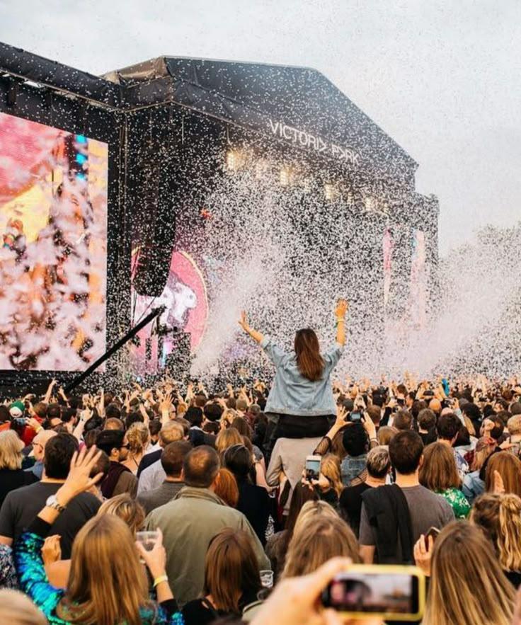 Ein Musikfestival in Vietnam planen