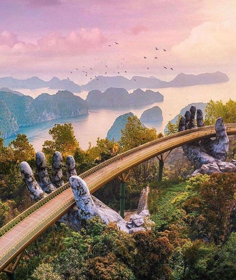 Ein grünes Start-up in Đà Nẵng (14)